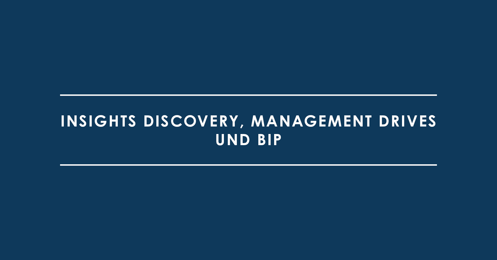 Persönlichkeitstests: Insights Discovery, Management Drives und BIP