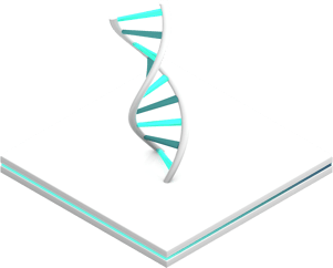 TRIALTA DNA