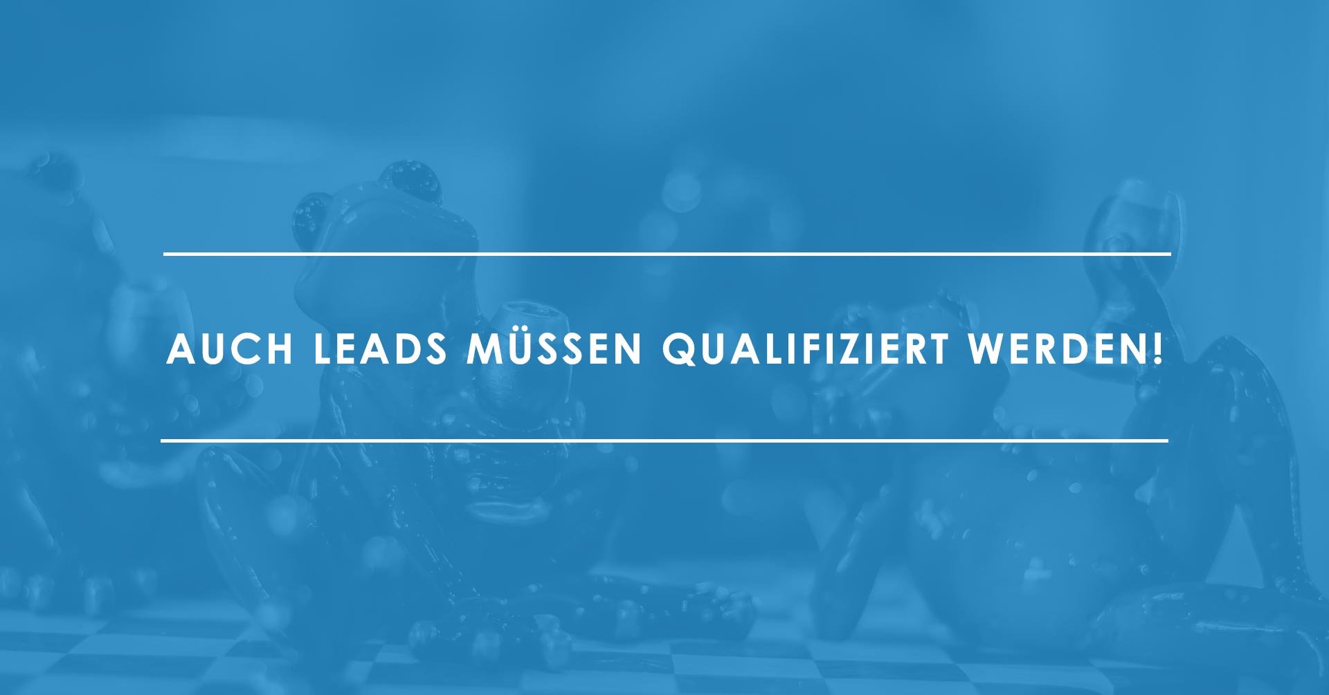 Leadqualifizierung