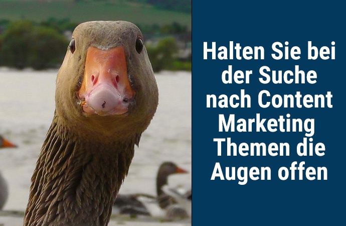 Tipps für Content Marketing Themen.