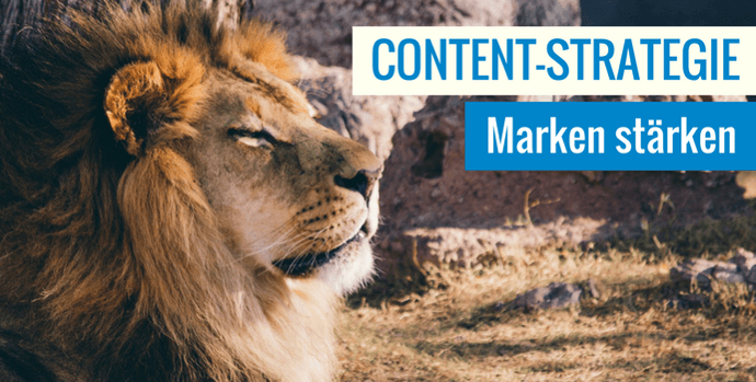 Content-Strategie starke Marken
