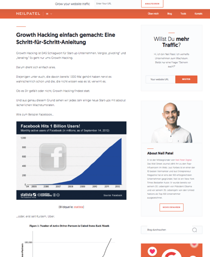 Pillar Page Neil Patel