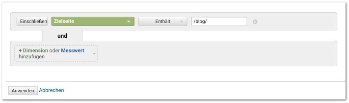 Organischer Traffic nur Blog - Filter setzen - Screenshot Google Analytics