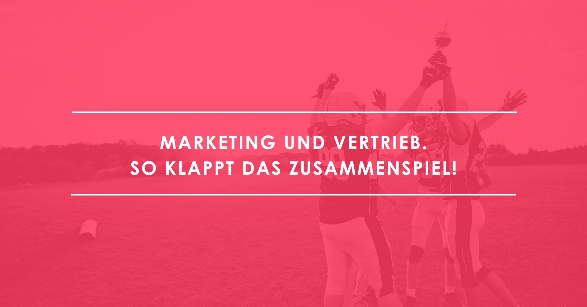 Marketing und Vertrieb