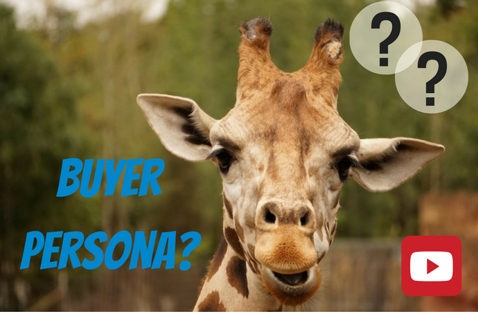 Buyer Persona