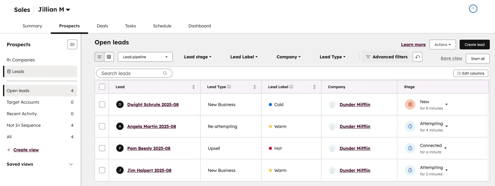 Leads als Standard-CRM-Objekt