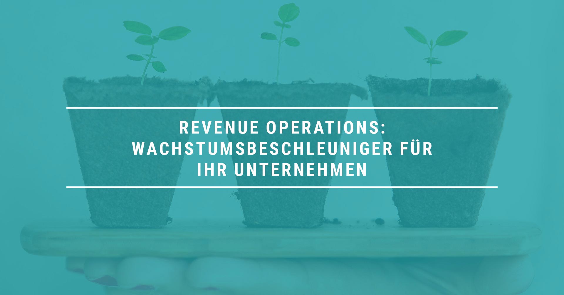 Revenue Operations: Wachstumsbeschleuniger für Ihr Unternehmen