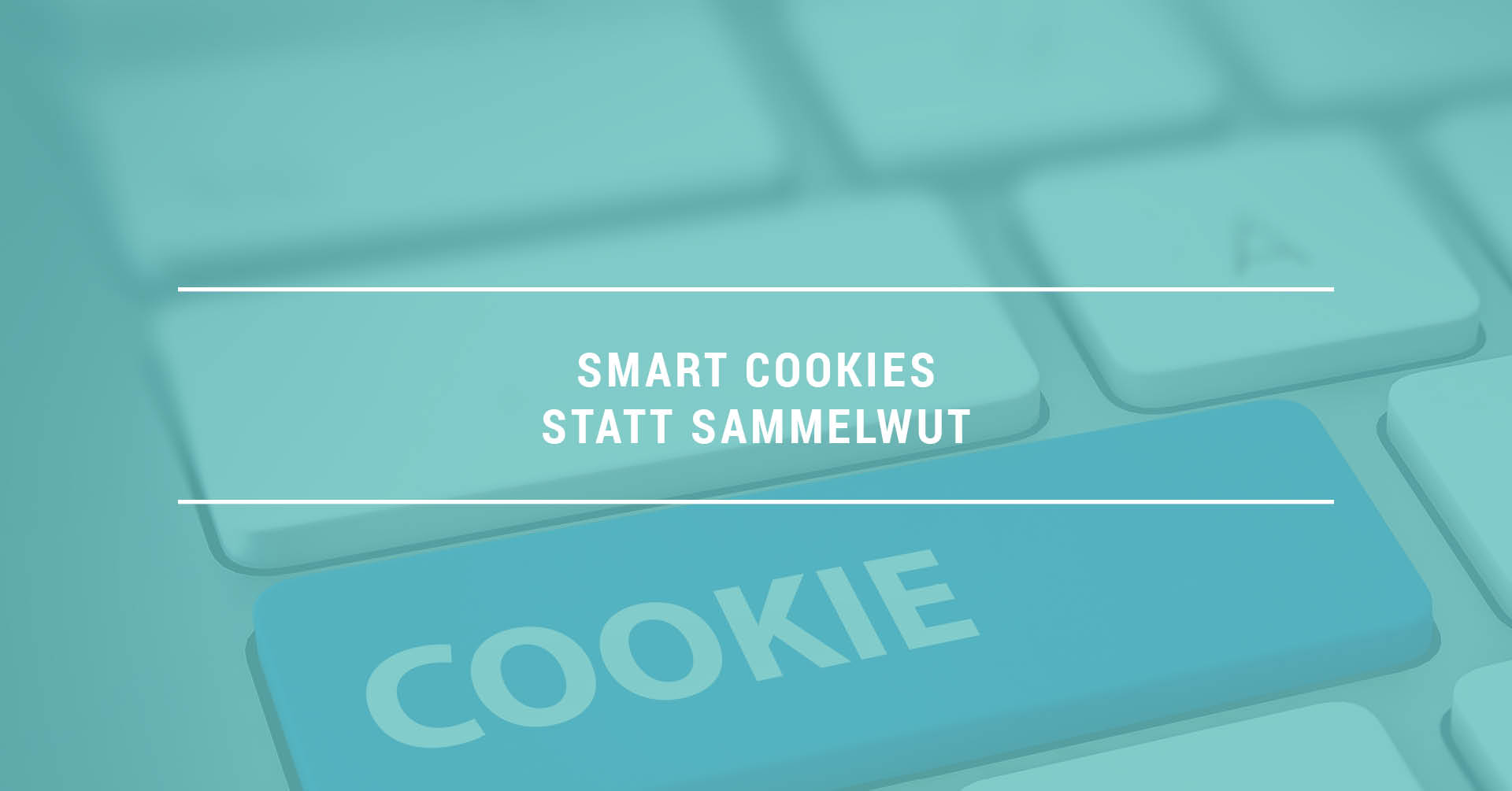 Smart Cookies statt Sammelwut