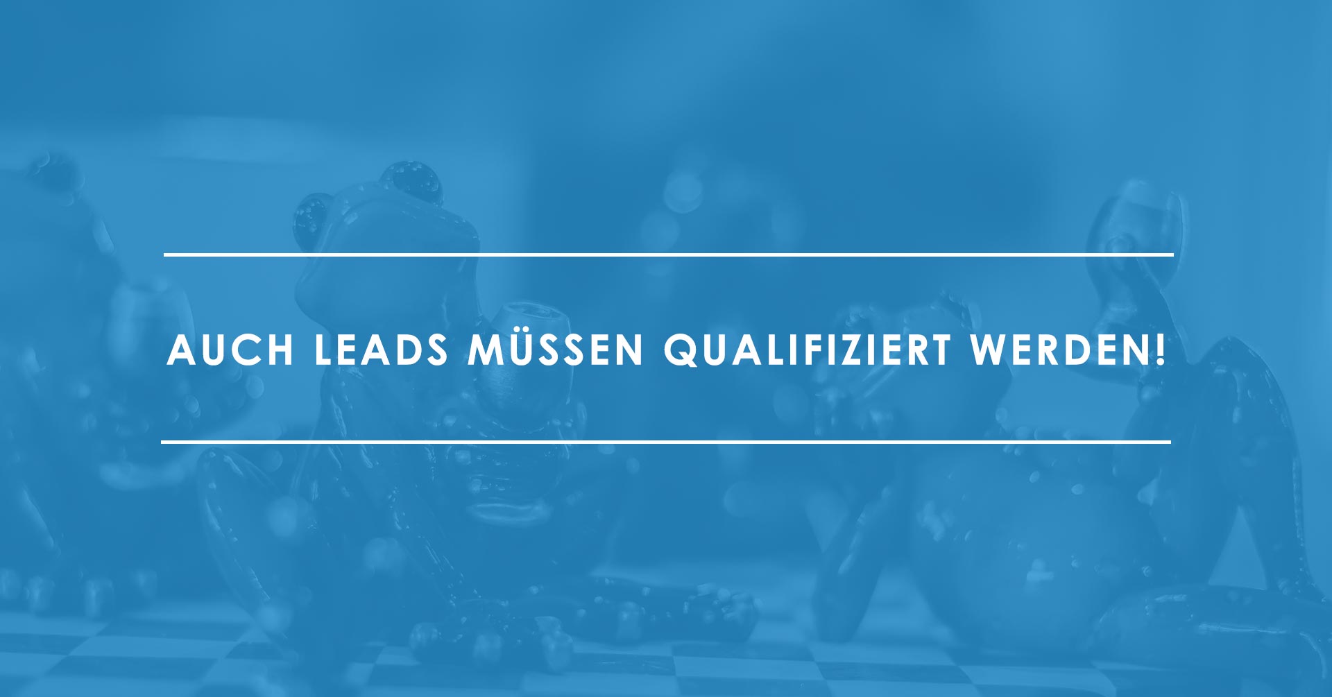 Leadqualifizierung