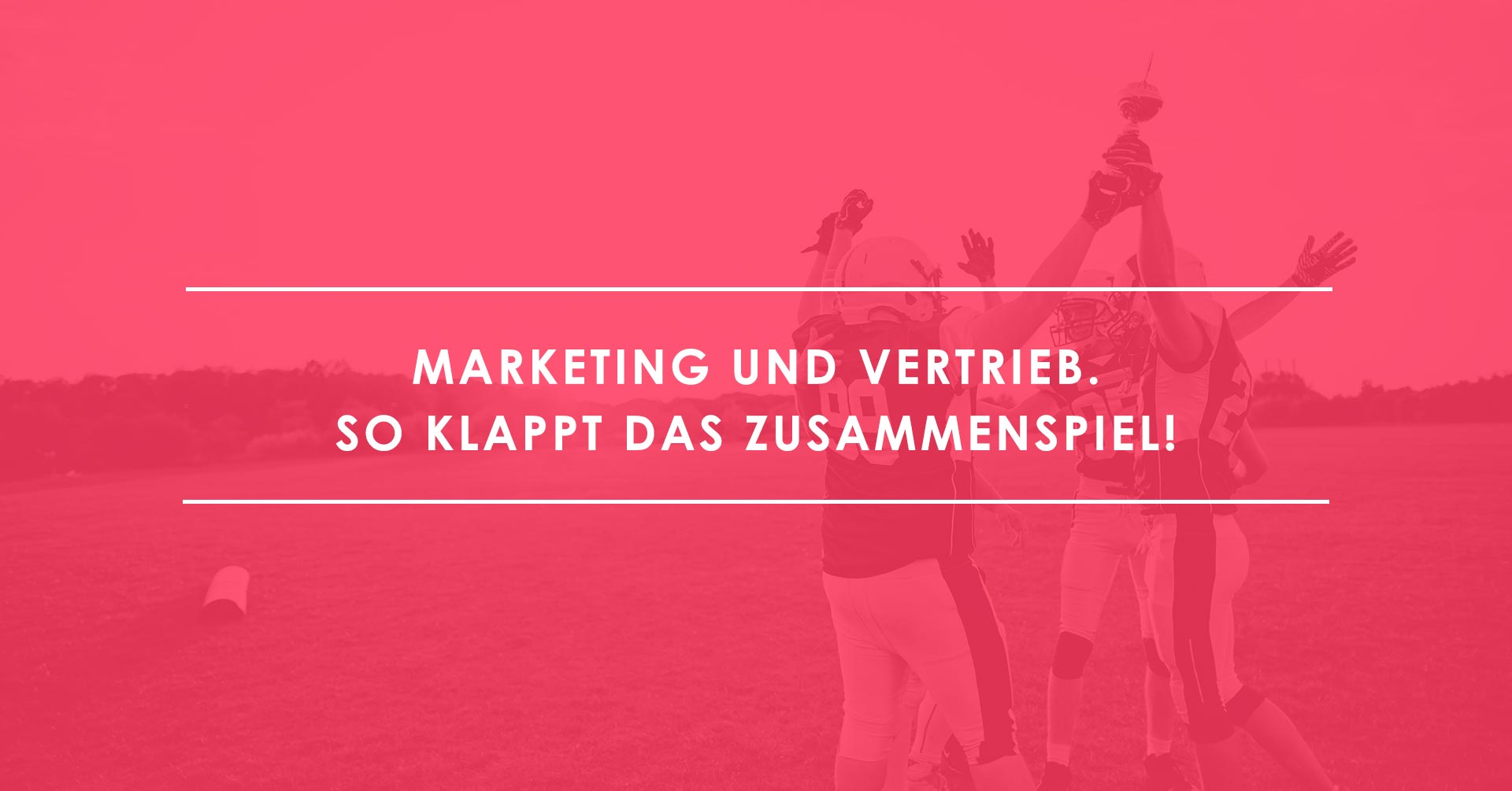 Marketing und Vertrieb