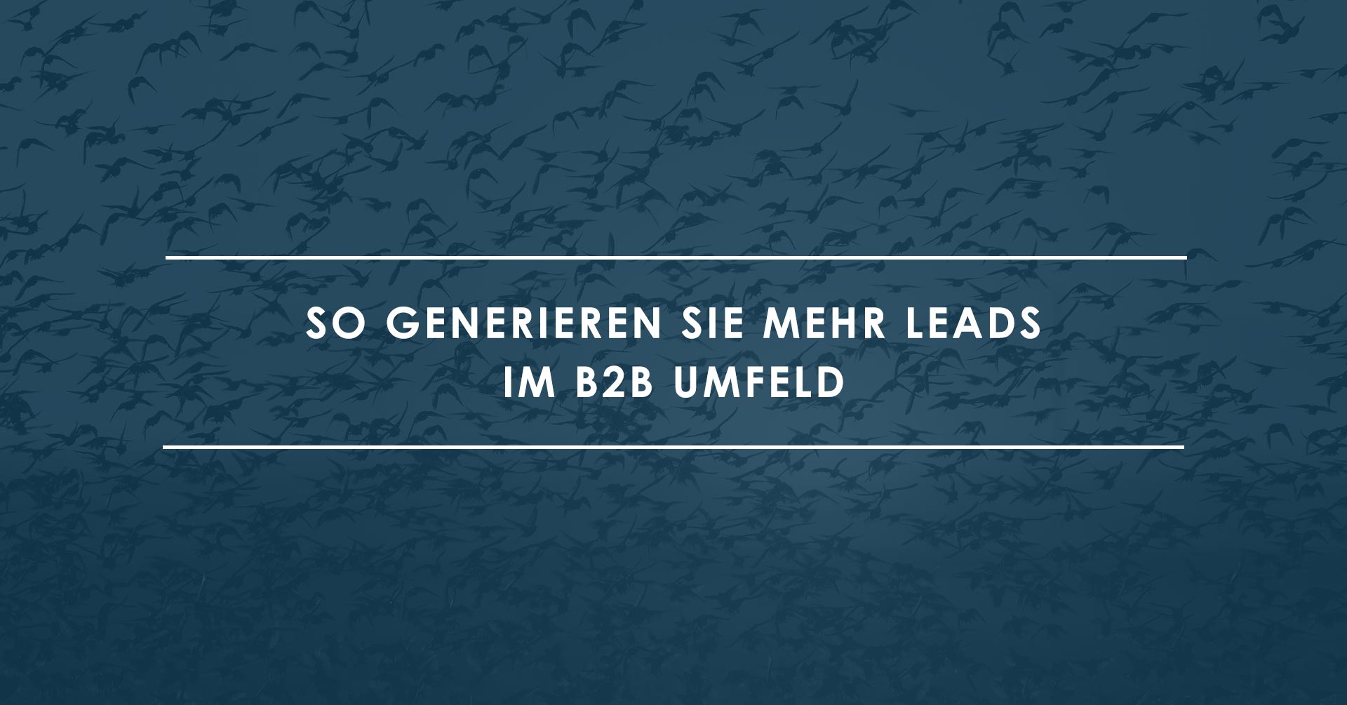 Wie B2B-Unternehmen mehr Leads generieren