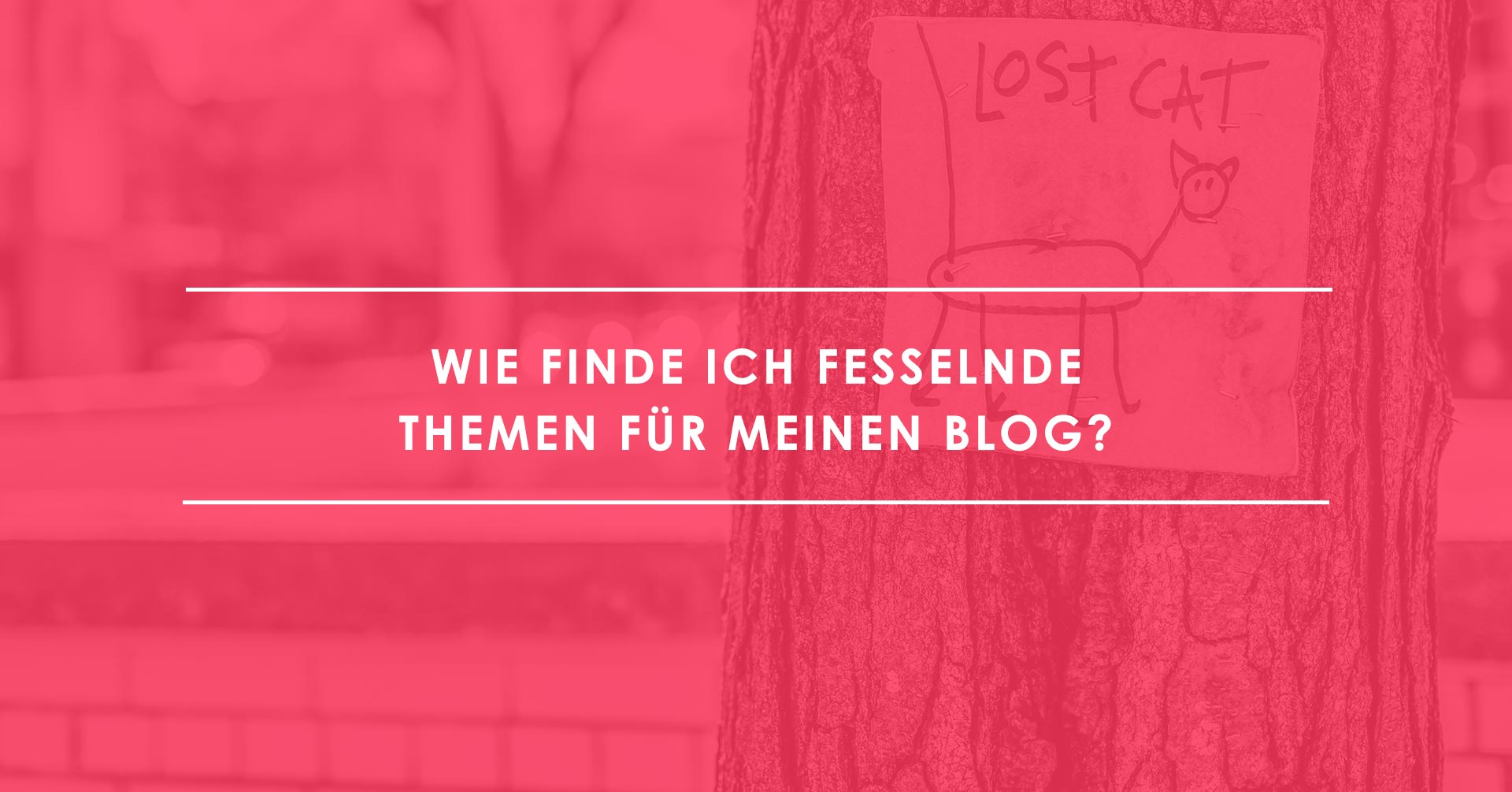 Wie Sie ganz einfach geniale Themen fu╠êr Ihren Blog finden